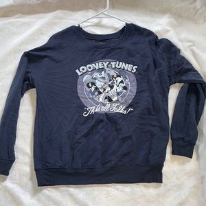 Looney tunes grey blue pullover